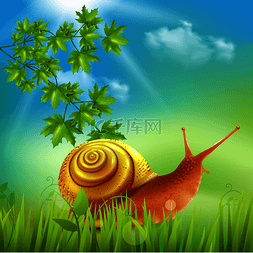 阳光下的花园图片_草地上的蜗牛沐浴在阳光下构图逼