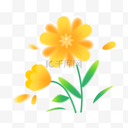 冬日暖阳的花朵图片_春天弥散风黄色小花