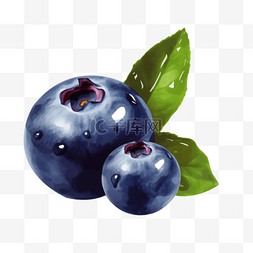 扁平插画手绘蓝莓