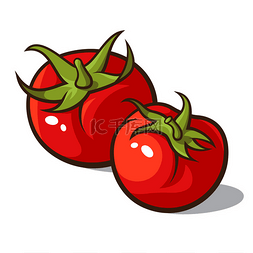 植物番茄图片_番茄味