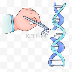 医学的图片_基因中的生物健康密码