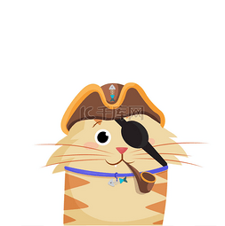 海盗旗子图片_可爱的动画片生姜男性猫男孩字符