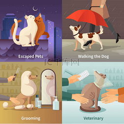 Pet Shop Concept Icons Set