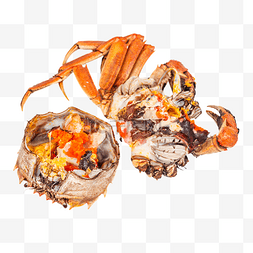 美味海鲜大闸蟹蟹黄