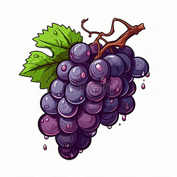 一串紫色的葡萄水果