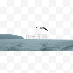 海浪图片_海面上的海鸥