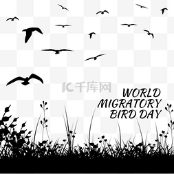 天气黑白图片_世界候鸟日飞过草地的鸟儿