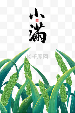 24节气节气图片_小满节气插画