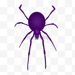 蜘蛛卡通紫色昆虫