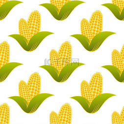 用于健康饮食的农场新鲜黄色玉米