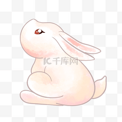 兔子图片_白色玉兔