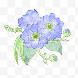 蓝色水彩婚礼花卉银莲花