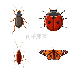 卡通手绘昆虫图片_昆虫和飞行符号的矢量设计。股票