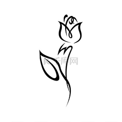 玫瑰花的涂鸦孤立的单色植物矢量