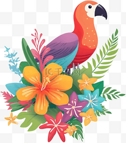 夏威夷鹦鹉夏天热带