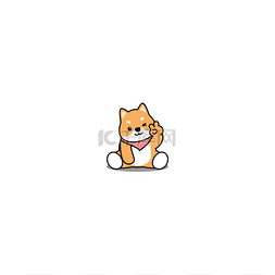 Cute shiba inu dog showing V sign hand and wi