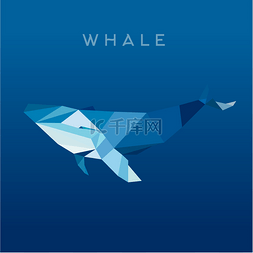 whale图片_鲸鱼 Lowe 角色多边形、 矢量插图