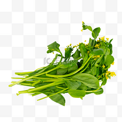 食物绿色有机图片_绿色有机蔬菜菜心