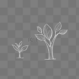 苇叶素描图片_白色素描线条植物发芽树苗树木