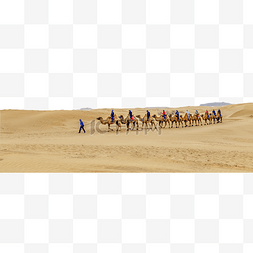 驼队春季沙漠