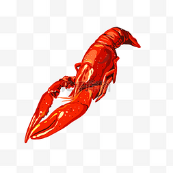 海鲜红色小龙虾
