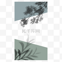 白色框阴影图片_植物阴影叠加instagram故事边框