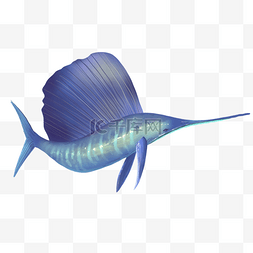 旗鱼蓝色海洋生物