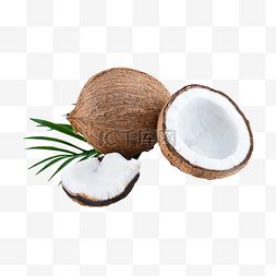 椰子坚硬自然植物