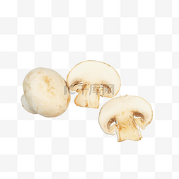 白色口蘑