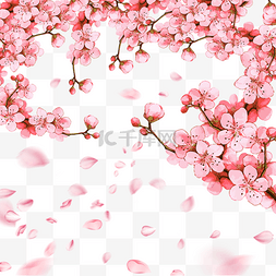 春季粉色樱花花瓣光效飘落