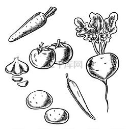土豆图片_新鲜健康的胡萝卜、西红柿、甜菜