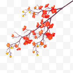 梅花图片_红色花枝梅花