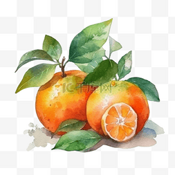 卡通手绘夏季水果橙子