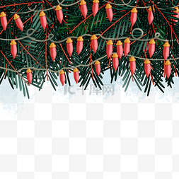 绿色保护模板图片_圣诞节一品红花卉装饰