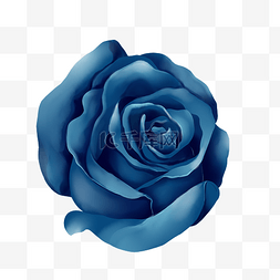 玫瑰唯美图片_仿真蓝玫瑰玫瑰花