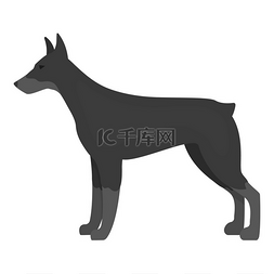 设计签名的素材图片_Web 的单色样式杜宾犬矢量图标