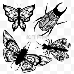 装饰花边图案设计图片_昆虫波西米亚印第安图纹纹理文化