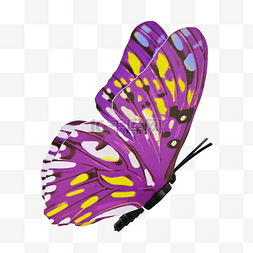 昆虫logo图片_蝴蝶紫色饰品