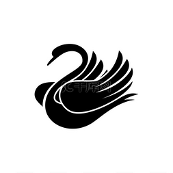 黑色羽毛标志图片_黑天鹅剪影孤立的鸟。