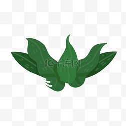 印度乌加迪绿色衬托叶子