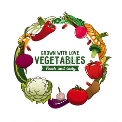 土豆番茄图片_农场收获蔬菜食品的蔬菜矢量横幅