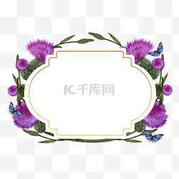 紫色花草图片_蓟花卉紫色植物边框