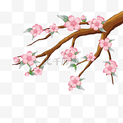 春天桃花树枝