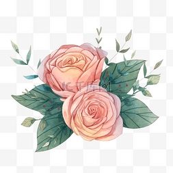 粉色水彩玫瑰