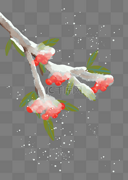 冬天的树枝图片_小雪节气冬天冬季树枝植物
