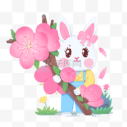 兔年二月份桃花盛开