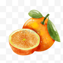 水彩风格水果橘子对半切开
