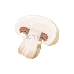 黄瓜栽培图片_切片的香槟小食用蘑菇白色帽子独