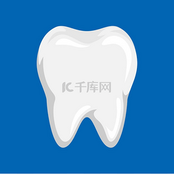 健康的牙齿图片图片_清洁牙齿的插图。