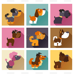 欢迎页图片_最受欢迎犬种中简单平面样式。图